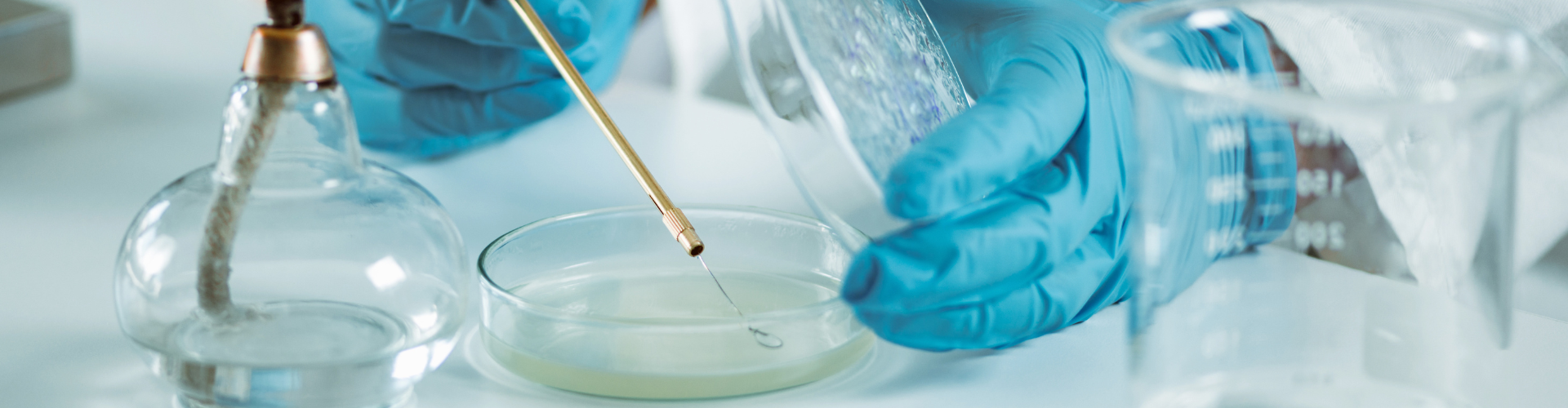 The Expert in Clinical Microbiology