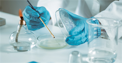 The Expert in Clinical Microbiology