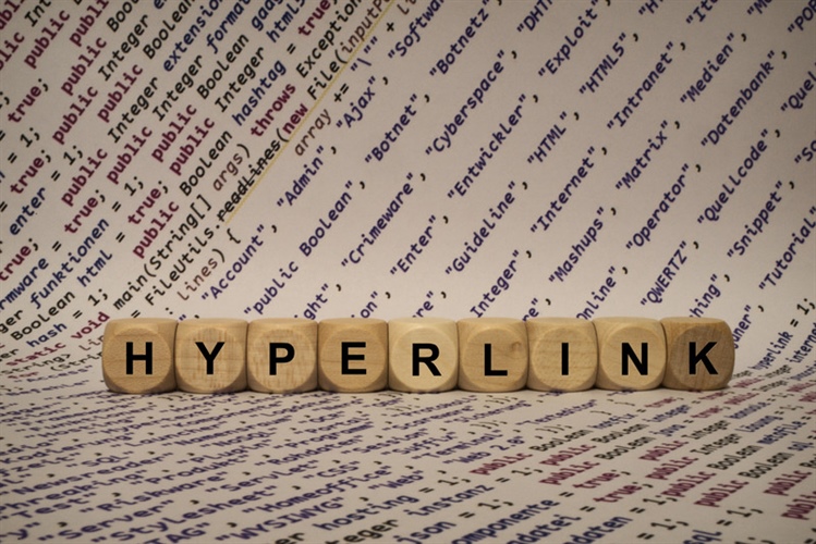 Hyperlinks in expert reports