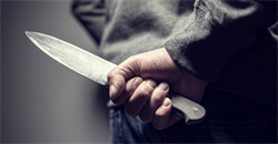 A Day in the Life of a Threat, Risk and Harm Consultant, Expert Evidence Trainer, and Expert Witness