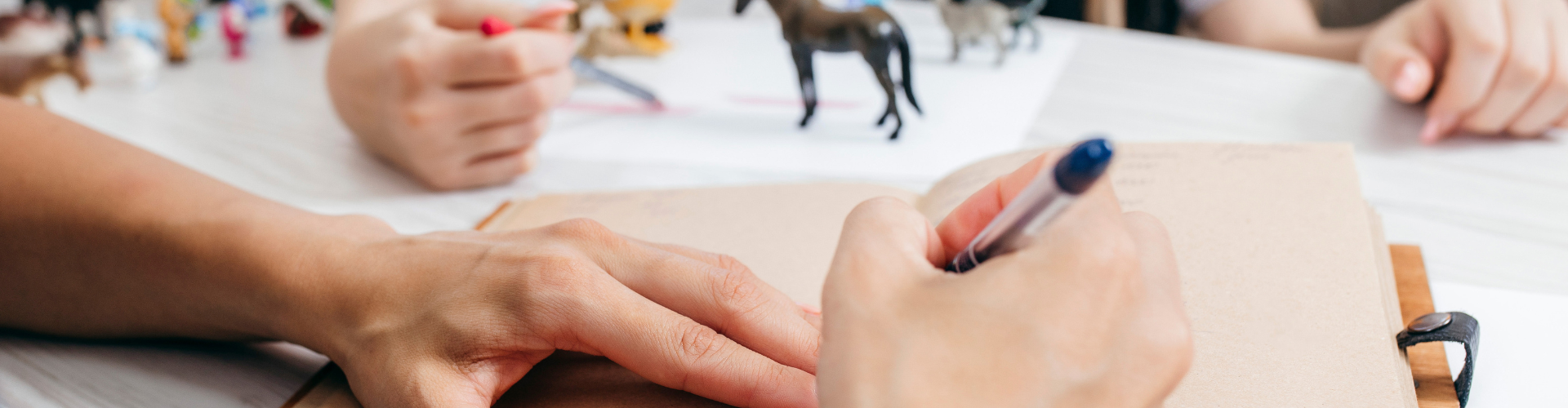 Director of Public Prosecutions v BB (Approved) [2024] IECA 155