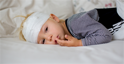 Nothing short of a demolition of the expert's evidence