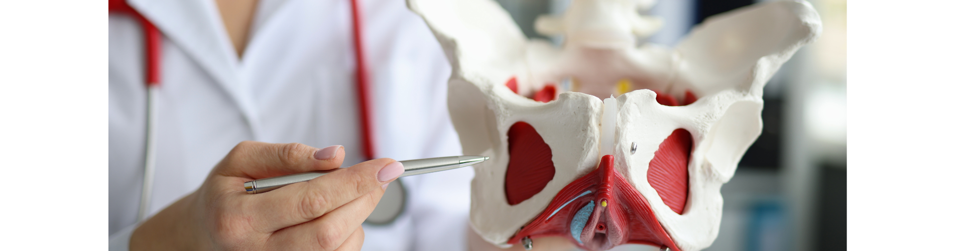 Philipa Hodgson v Dr Daniel Hammond & Anor [2025] EWHC 1261 (KB)