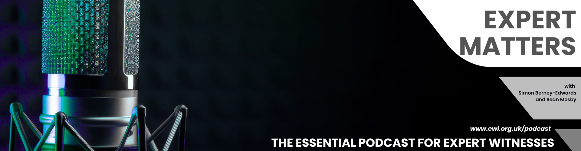 Podcast Episode 15: The Power of EWI Membership: Raising Standards in Expert Witness Practice