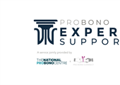EWI partnership with the Pro Bono Expert Support Scheme