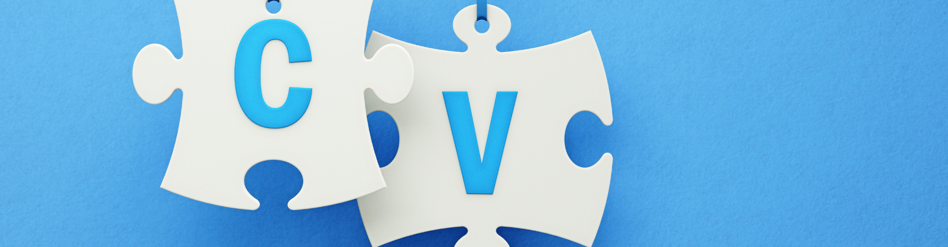 Your expert witness CV is not the same as a professional CV