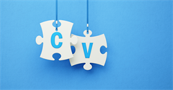 Your expert witness CV is not the same as a professional CV