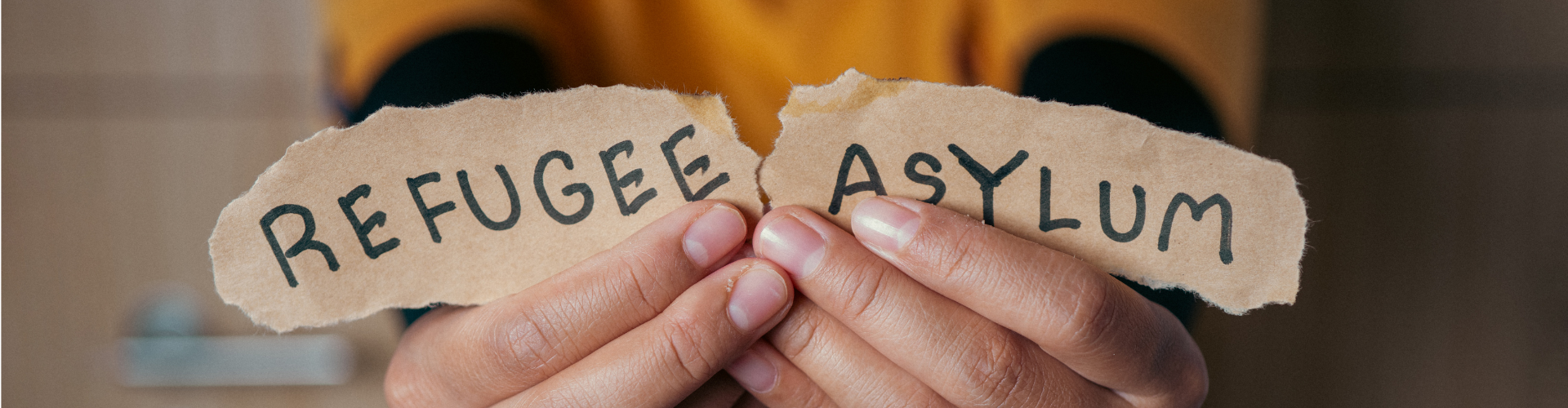 Without hesitation, I attach no weight whatsoever ….